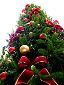 128px-christmas_tree_sxc_hu